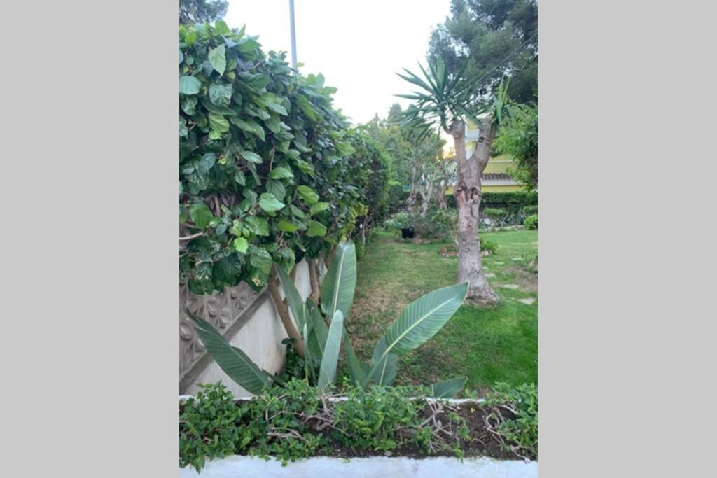 Apartamento La Dorada トレモリノス エクステリア 写真